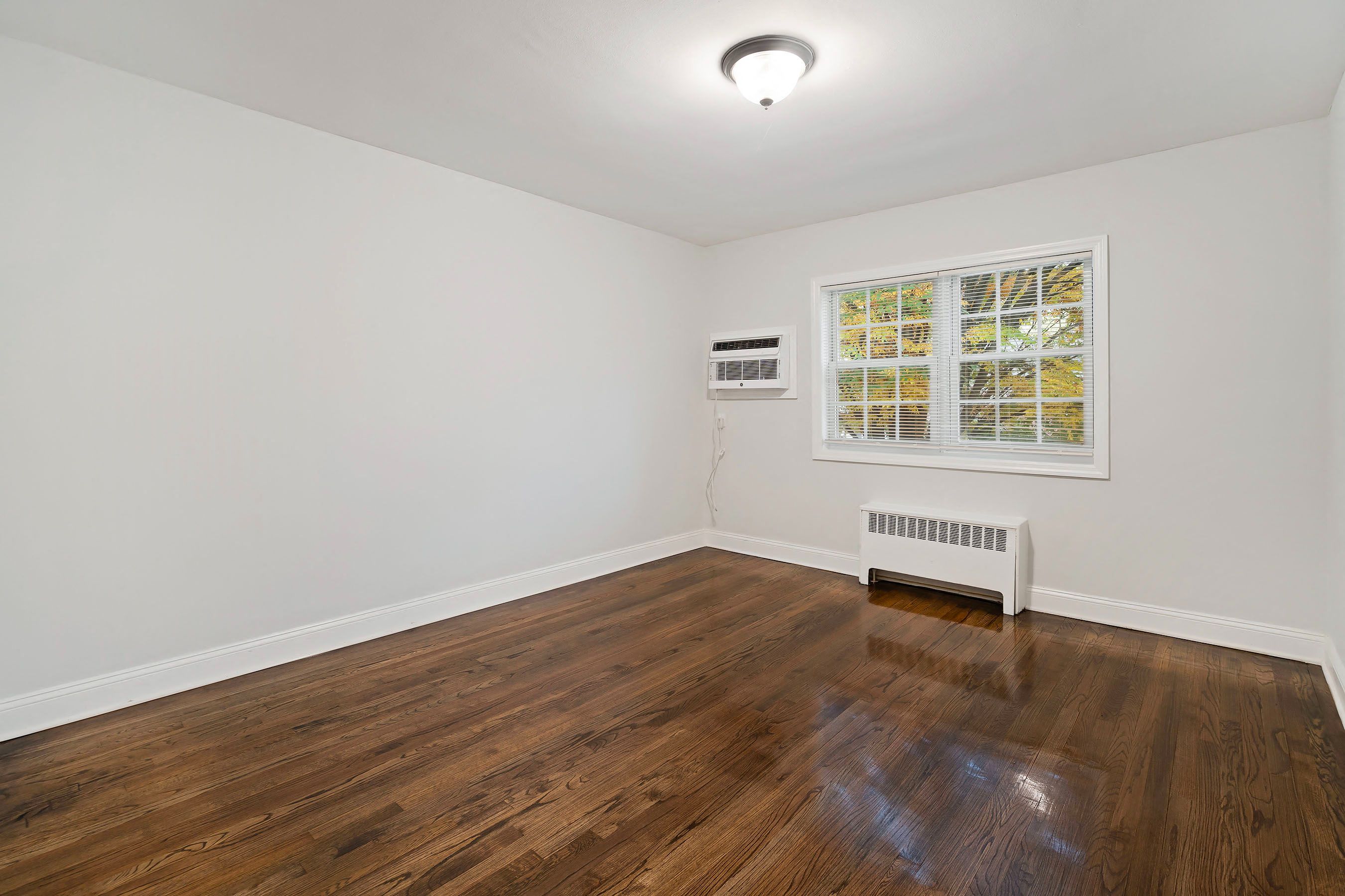 Gallery Photo 4